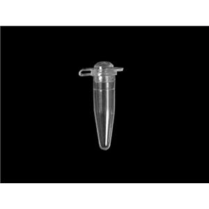 200微升薄壁PCR管(凸盖)