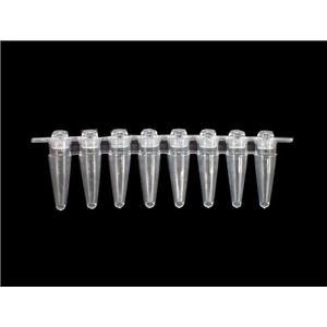 200微升八联管(PCR排管)