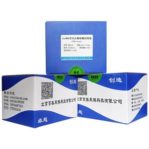 LNCRNA荧光定量检测试剂盒(SYBR GREEN)