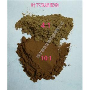 叶下珠提取物