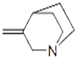 3-methylidene-1-azabicyclo[2.2.2]octane