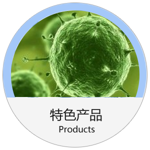 小鼠外周血树突状细胞