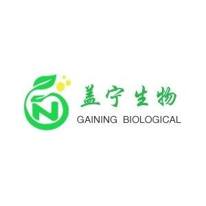 大鼠骨髓来源内皮祖细胞