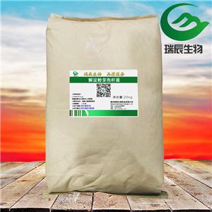 解淀粉芽孢杆菌