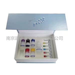 小鼠网膜素(OMENTIN)ELISA KIT