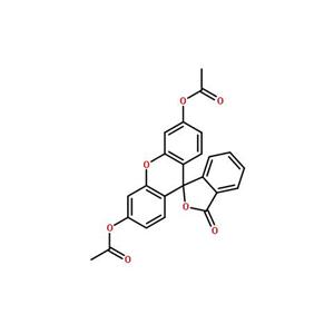 二乙酸萤光素