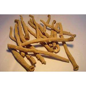 源头厂家供应：板蓝根提取物