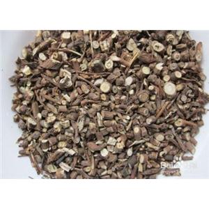 源头厂家供应：柴胡提取物（液）