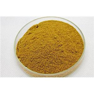 源头厂家供应：黄芪提取物（黄芪多糖）