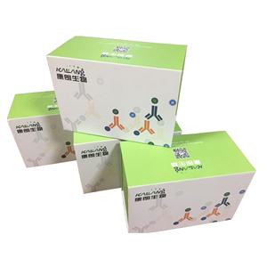 人白细胞介素19酶联免疫试剂盒