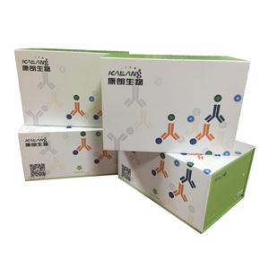大鼠白细胞介素17A酶联免疫试剂盒