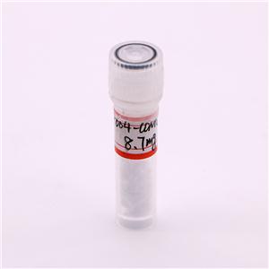 H3-K27me3修饰组蛋白