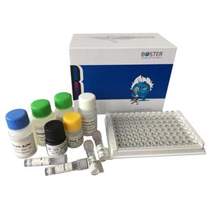 ANTI-HISTONE H3 (DI METHYL K4)抗体