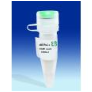 甲状腺素T4偶联牛血清白蛋白