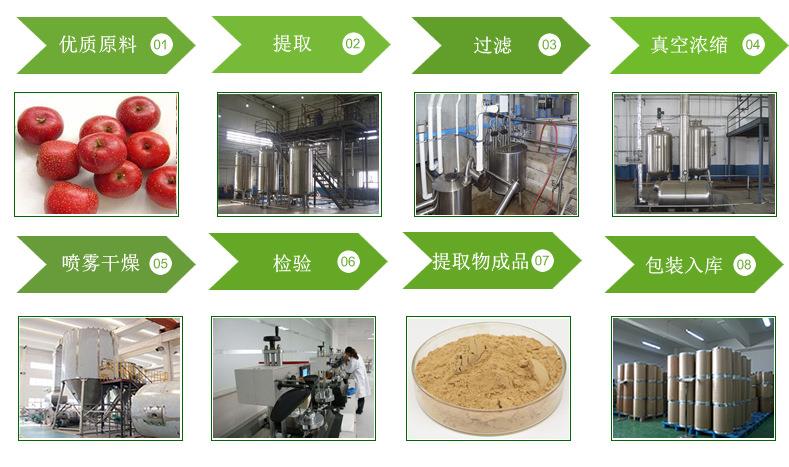 山楂提取工艺流程图1