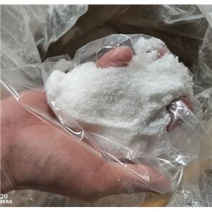 布罗波尔