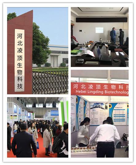 公司55.jpg 公司55.jpg