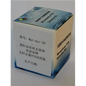 探针法丝状支原体丝状亚种实时定量PCR试剂盒