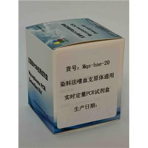 染料法嗜血支原体通用实时定量PCR试剂盒