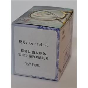 探针法猫衣原体实时定量PCR试剂盒