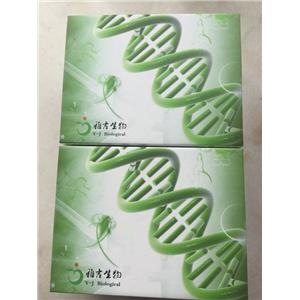 人鼻咽癌(NPC)Elisa试剂盒