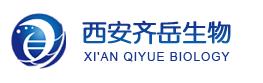 MOF:CAS:255367-66-9金属有机框架材料MOF-5(Zn)的应用 MOF:CAS:255367-66-9金属有机框架材料MOF-5(Zn)的应用