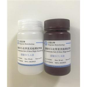 ECL化学发光检测试剂盒（超敏型）