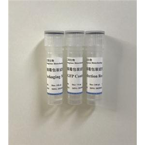 LENTIVIRAL PACKAGING KIT 慢病毒包装试剂盒