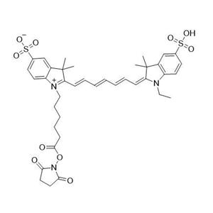 Cy7-N-琥珀酰亚胺酯（Cy7-Sulfo NHS Ester）