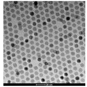 油溶性CdS量子点 硫化镉量子点