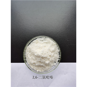 2,6-二氯吡嗪 产品图片