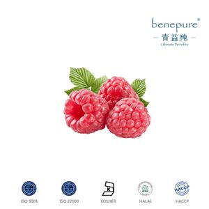 覆盆子提取物源头生产厂家大量供应