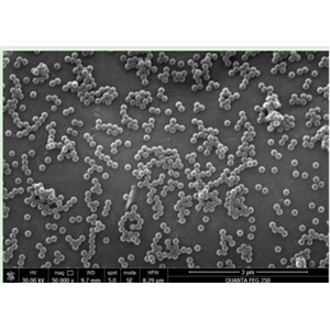 羧基修饰青色乳胶微球100nm
