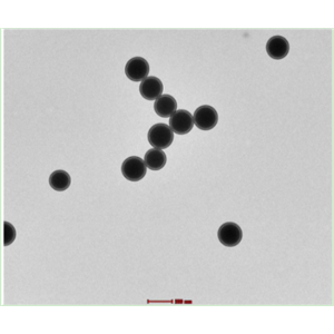 链霉亲和素聚苯乙烯微球10um 单分散