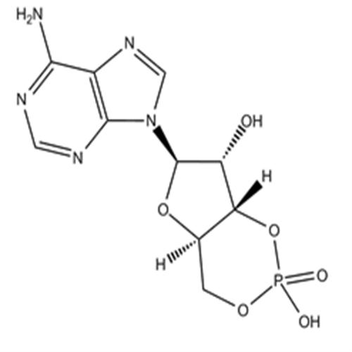 Cyclic AMP.png Cyclic AMP.png