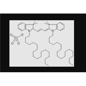 DiI细胞膜荧光探针橙红色