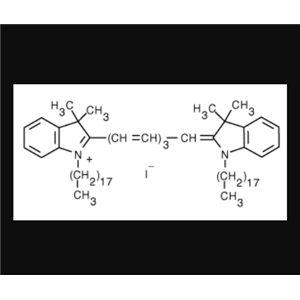 DiR细胞膜荧光探针深红色;DiR碘化物