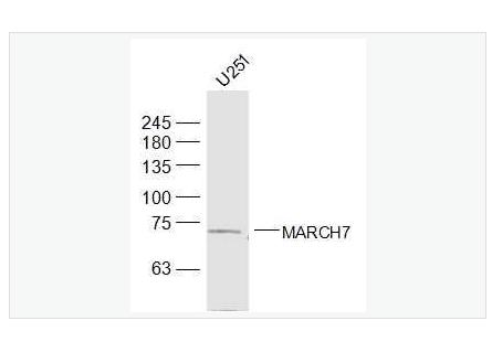 搜狗截图23年05月10日1408_39.png 搜狗截图23年05月10日1408_39.png