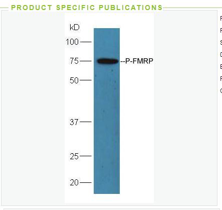 搜狗截图23年05月10日1527_50.png 搜狗截图23年05月10日1527_50.png