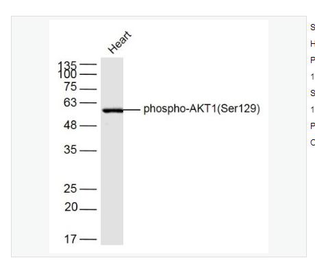 搜狗截图23年05月10日1601_63.png 搜狗截图23年05月10日1601_63.png