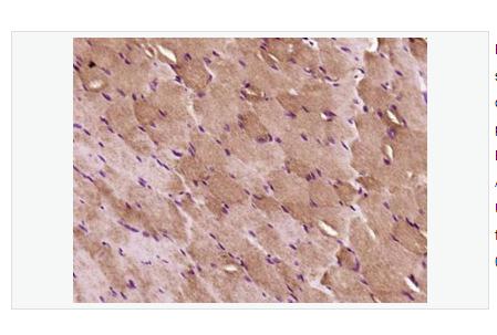 搜狗截图23年05月10日1617_69.png 搜狗截图23年05月10日1617_69.png