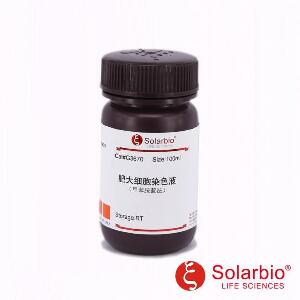 肥大细胞染色液(甲苯胺蓝法)