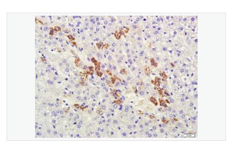 搜狗截图23年05月12日0933_228.png 搜狗截图23年05月12日0933_228.png