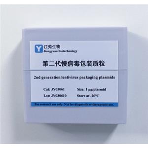 全套第二代慢病毒包装质粒（三质粒系统）