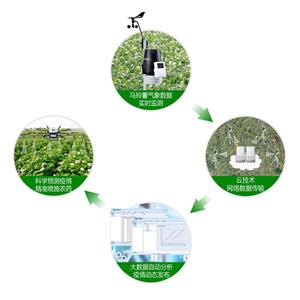 马铃薯晚疫病预警系统
