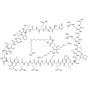 910463-68-2|索马鲁肽|Semaglutide