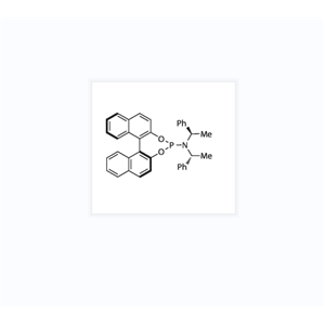 (11BS)-N,N-双[(R)-1-苯基乙基]-联萘并 [2,1-D:1',2'-F][1,3,2]二氧膦杂-4-胺 497883-22-4
