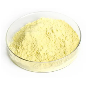 147086-79-1；多佐胺-2-2