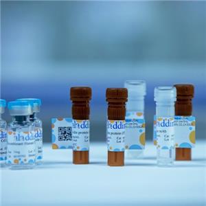 aladdin 阿拉丁 Ab170844 Cusatuzumab (anti-CD70) 1864871-20-4 Purity>95% (SDS-PAGE&SEC); Endotoxin Level<1.0EU/mg; Human IgG1; CHO; ELISA, FACS, Functional assay, Animal Model; Unconjugated