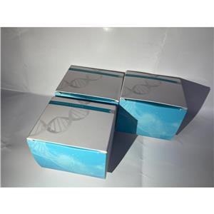 CTP2-CP4-EPSPS基因核酸检测试剂盒（PCR-荧光探针法）